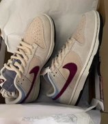 个人闲置的全新纯原 Nike Dunk 大友克洋
