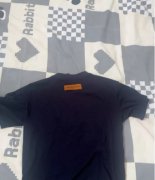 LV潮流短袖 衣服未洗状态